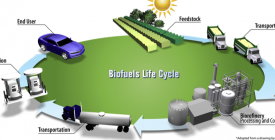 Biofuels life cycle
