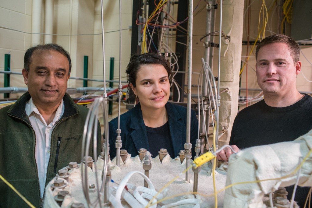 Kumar Sridharan, Raluca Scarlat and Mark Anderson