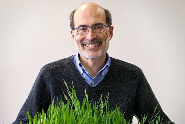 Man with glasses in a blue v-neck sweater pictured with a stand of green grass in front of his chest