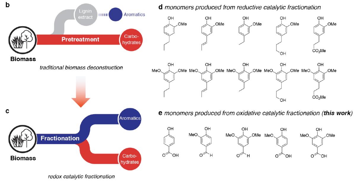 Illustration of breakdown into carbohydrate and lignin streams and resulting monomers