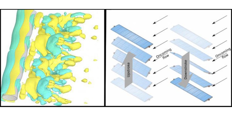 left: a model of seal whisker water flow; right: an example of oscillating flows for energy harvesting in water