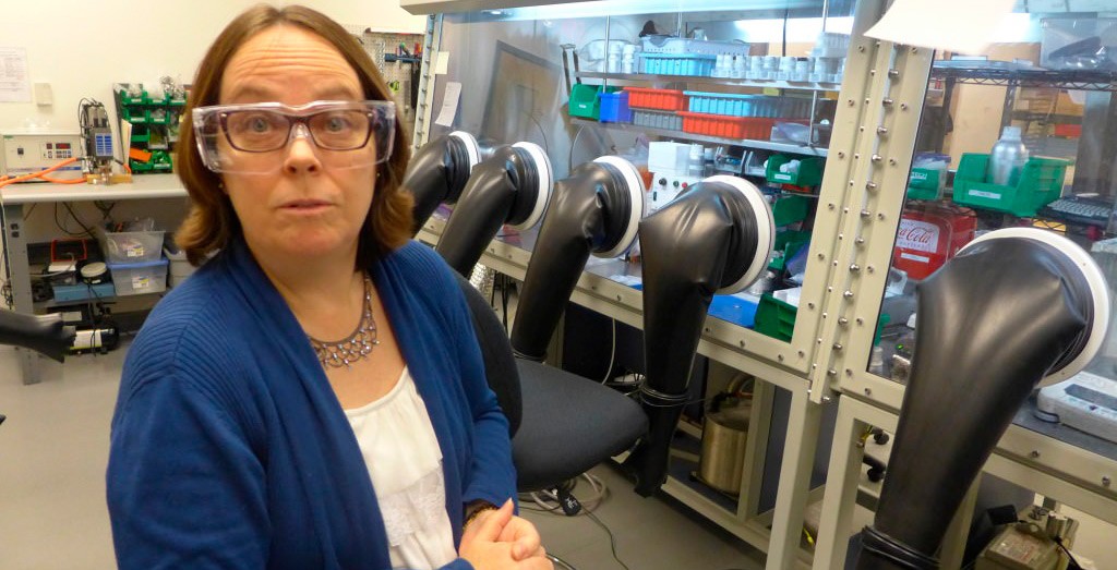 Deb Gilbert, director of research and development at Silatronix, oversees synthesis and evaluation of new battery electrolytes.