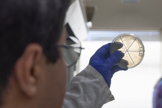 Man looking at petri dish held up to a light