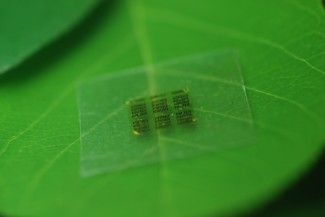 A cellulose nanofibril (CNF) computer chi