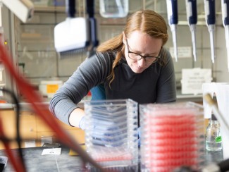 Woman with long reddish hair and glasses leans over a lab bench stacked with red plastic containers