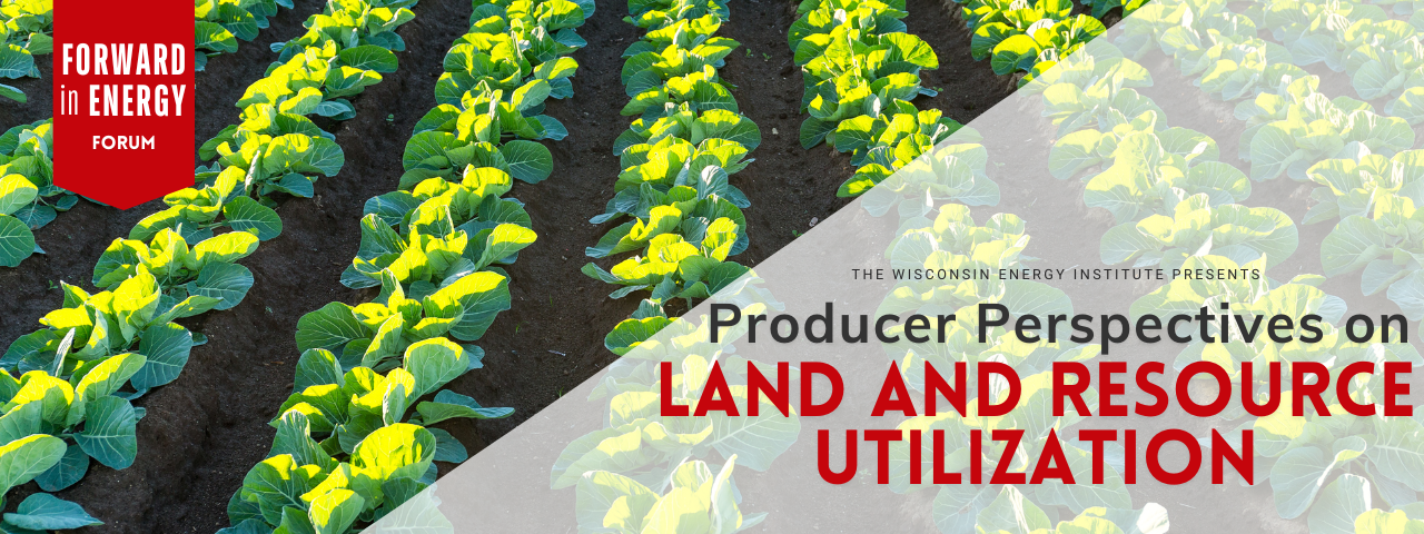 Image showing rows of green crops with the Forward in Energy Forum banner in red overlaid.