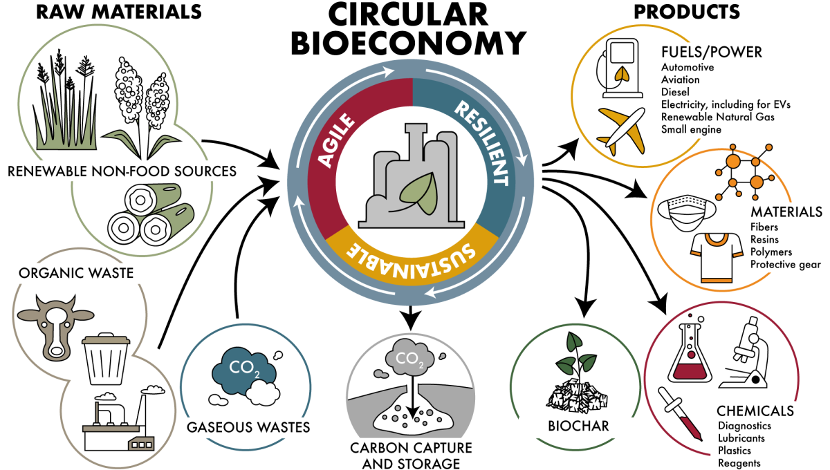 Flow diagram of a circular bioeconomy where bio-based, renewable materials are turned into products that are replacements for fossil fuels