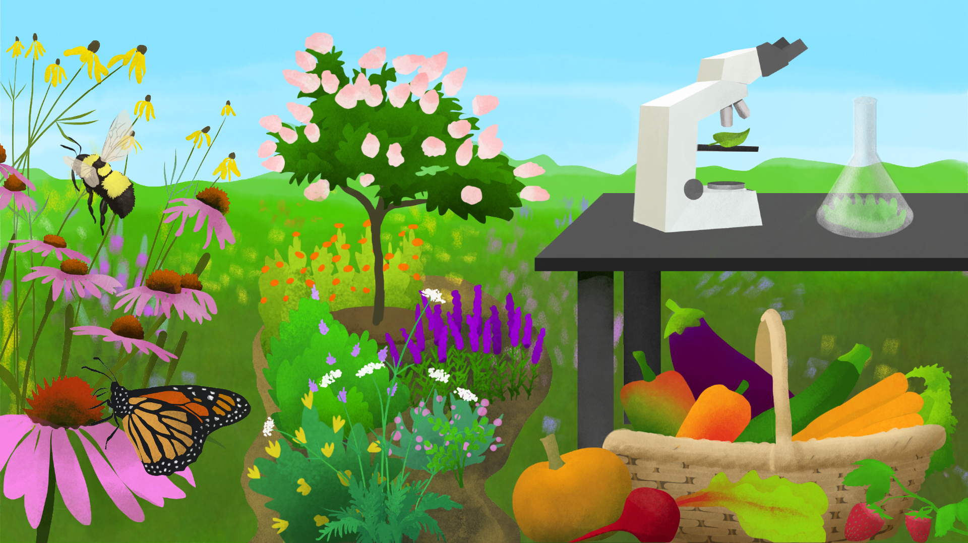 Image of a microscope and flask on a table near flowers, vegetables, and pollinators