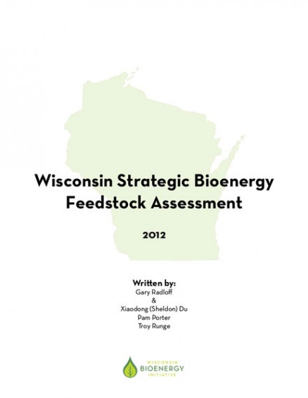 Wisconsin Strategic Bioenergy Feedstock Assessment