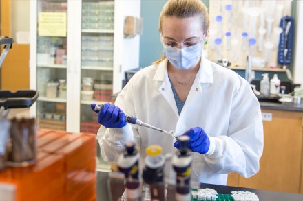 Graduate student Amy Enright pipettes in her lab. 