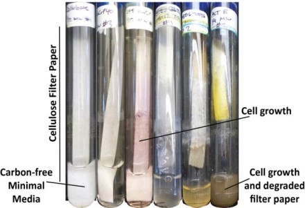 Cellulose Attributes