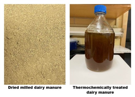 manure solids