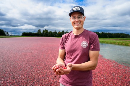 Man in maroon T-shirt hold a handful of red berries. A sea of red berries and a sliver of open water are visible in the background