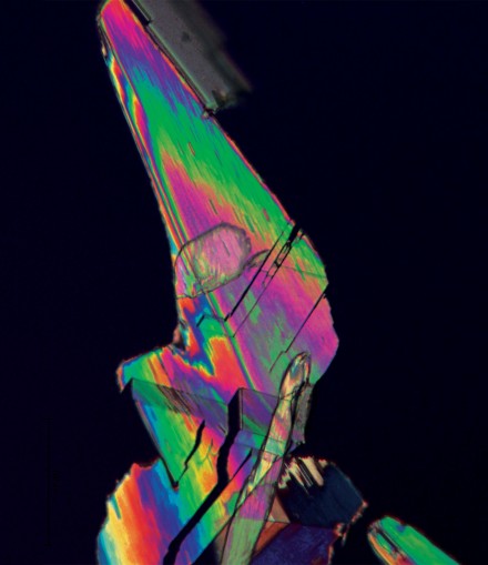 microscopic FDCA crystal