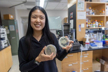 woman with long black hair standing in a lab holding two petri dishes