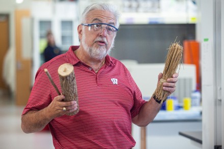 Man in red polo shirt with Wisconsin emblem holding bundle of grass and stick of wood