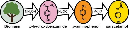 Diagram of chemical steps from biomass to p-hydroxybenzamide to p-aminophenol to paracetamol