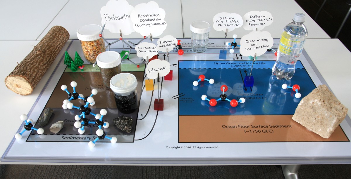 Image showing the completed demo set up on a table including visualized carbon pools, molecules, and labeled processes.