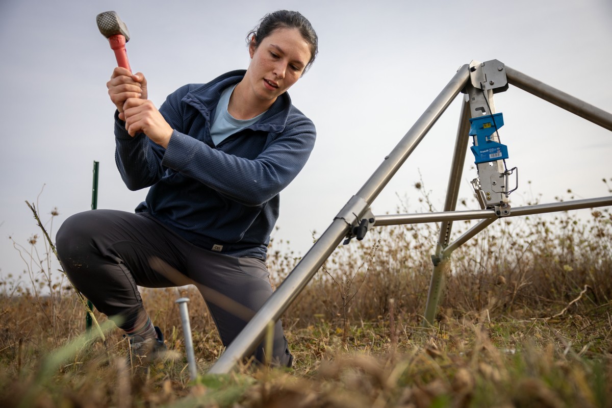 A researcher hammers a ground stake to install field monitoring equipment on a tripod in a grassland or prairie field under an overcast sky.
