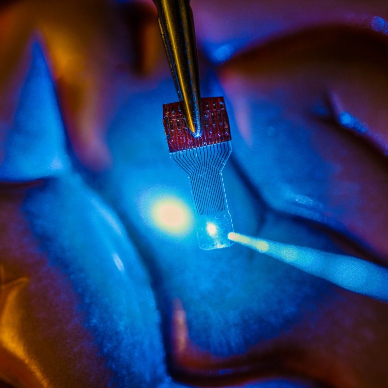 Transparent sensors