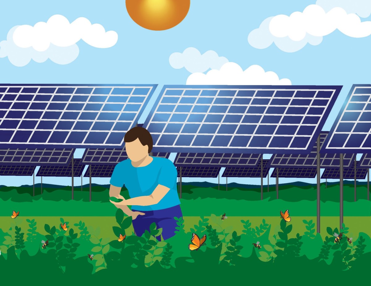 Illustration of person standing in field of green plants with butterflies and bees with solar panels in the background