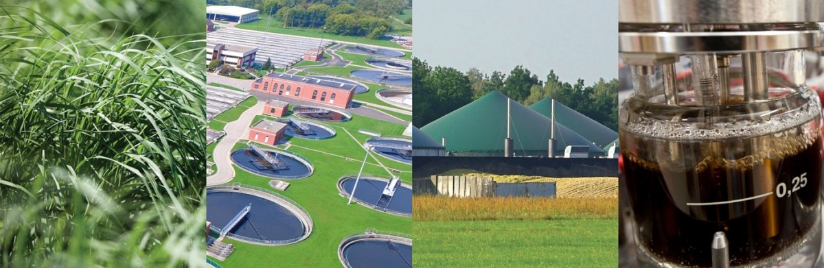 A collage of switchgrass growing in a field, an overvhead view of a wastewater treatment plant, an anaerobic digestion facility, and biofuel hydrolysate fermenting