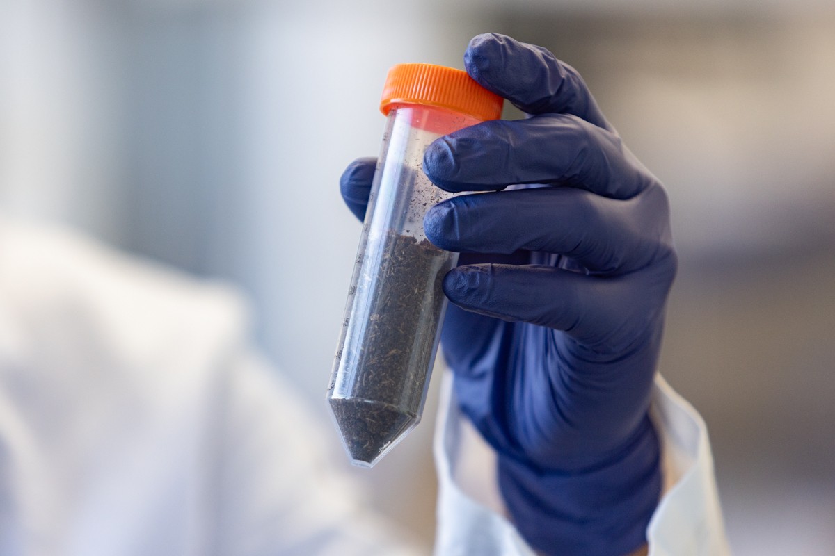 Closeup of a hand in a blue nitrile glove holding a clear vial of brown fiber material