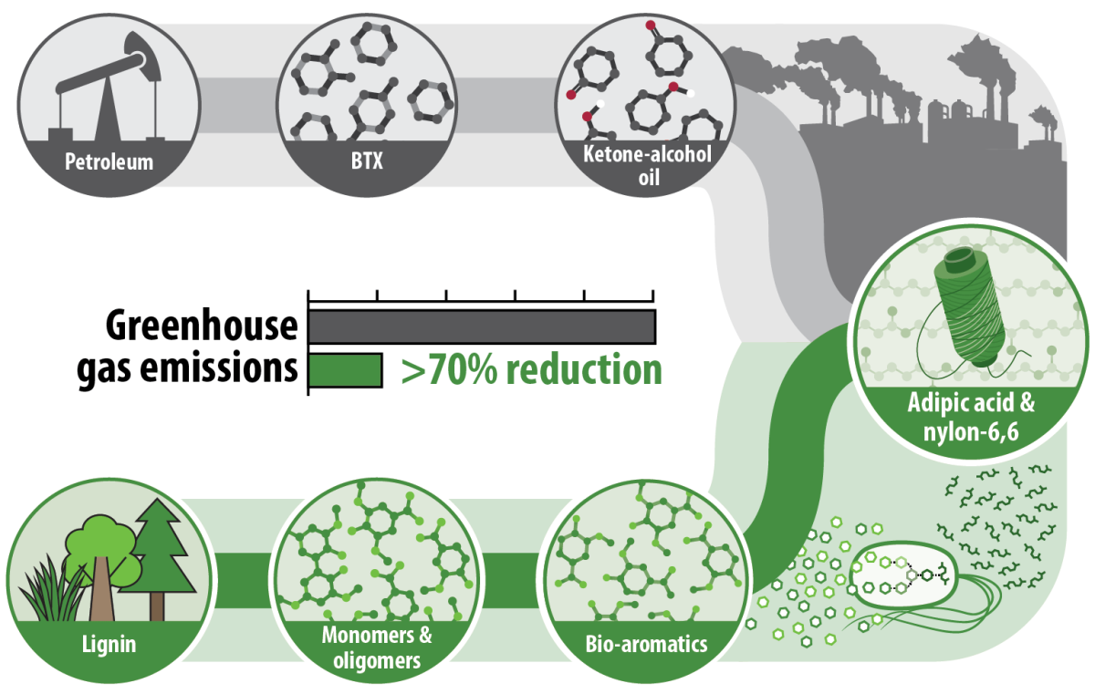 Illustration of petroleum and plant-based processes for producing nylon