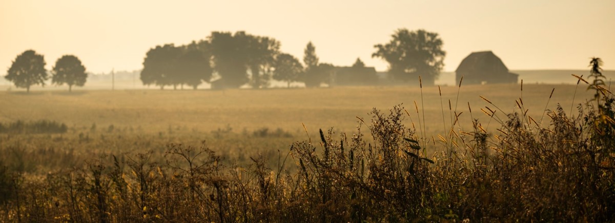A foggy Wisconsin agricultural landscape