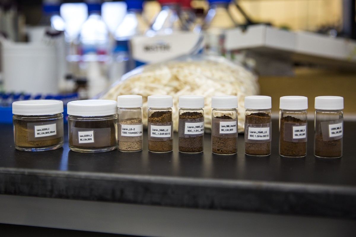 Jars of lignin in a lab at the Wisconsin Energy Institute