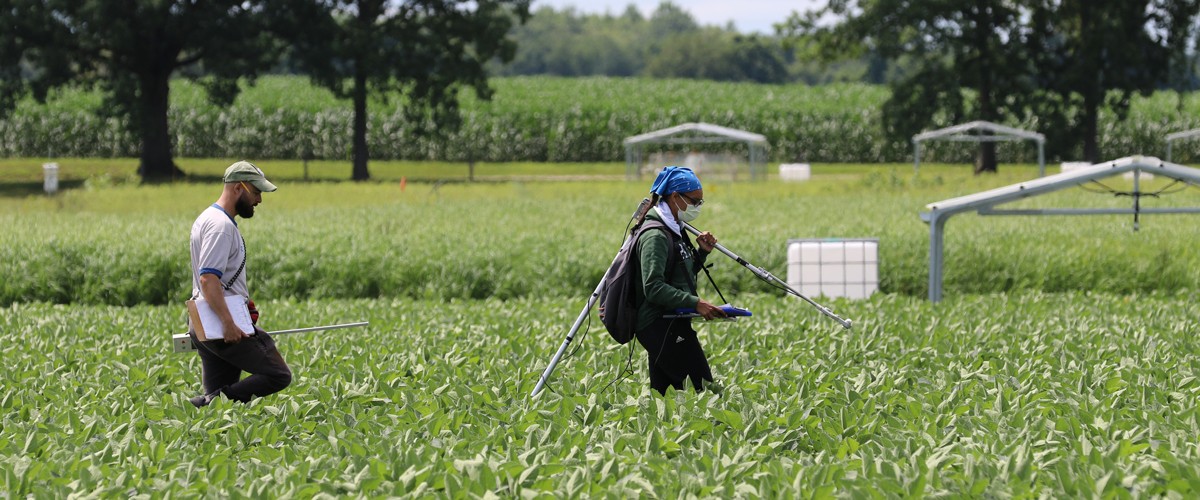 Two researchers walking through a field while carrying scientific equipment