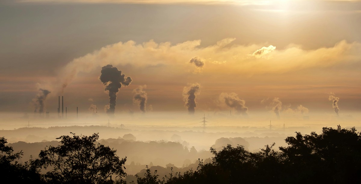 Silhoutte of trees in foreground with smoke stacks and power lines in background against orange sky