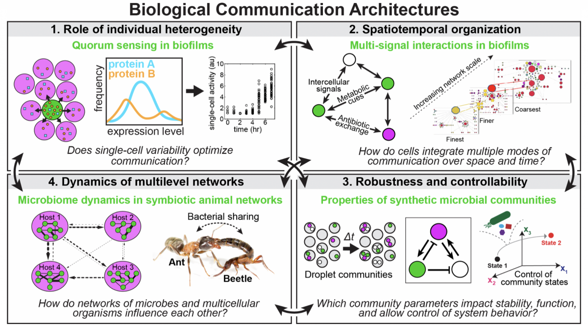 Biological Communications Architechtures