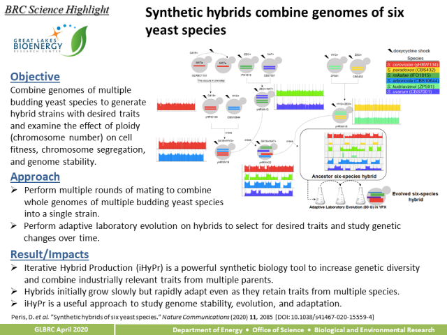 hittinger research