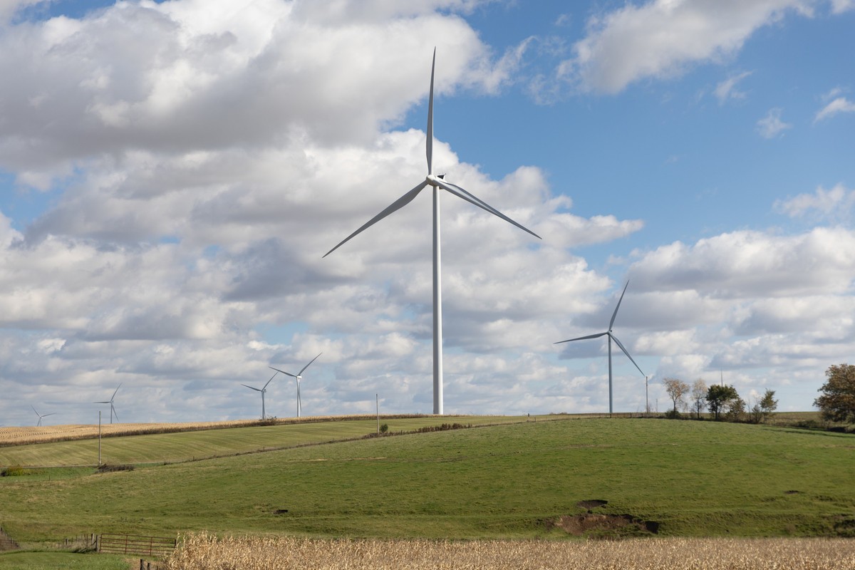 wind turbines set amid green corn fields against a blue sky dotted with white clouds