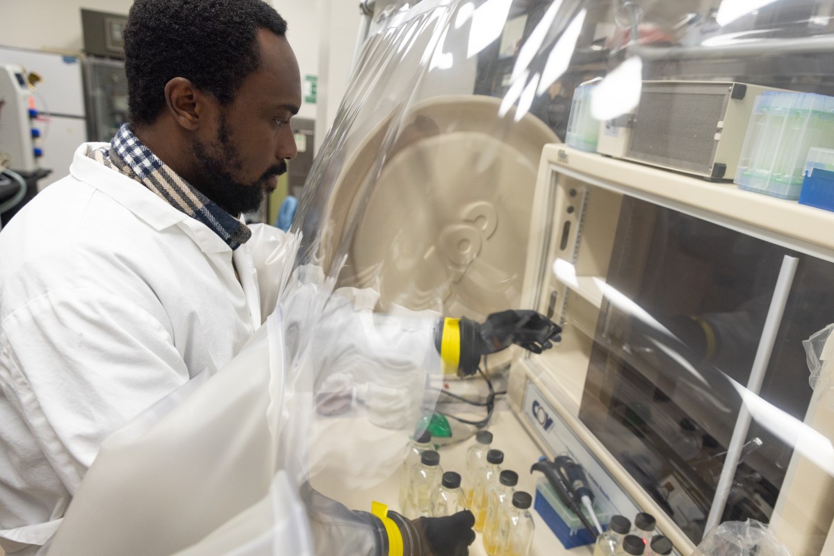 A man in a lab coat reaches under a plastic sheet in a laboratory