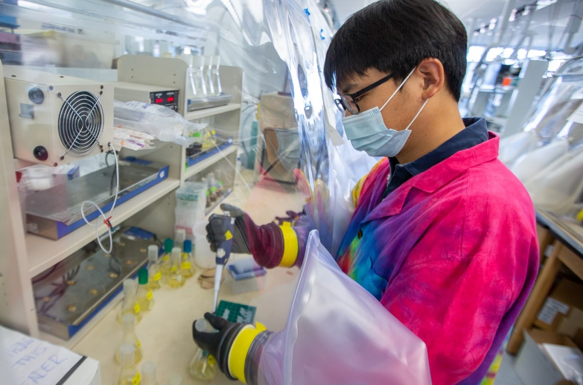 Sae-Byuk Lee stands with his arms in an anaerobic chamber while pipetting