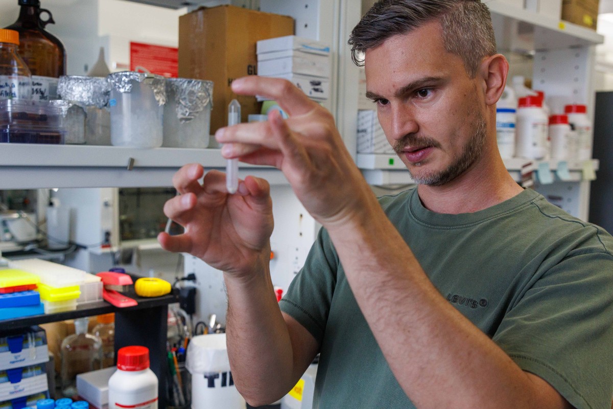 A researcher closely examines a small microcentrifuge tube in a molecular biology laboratory.