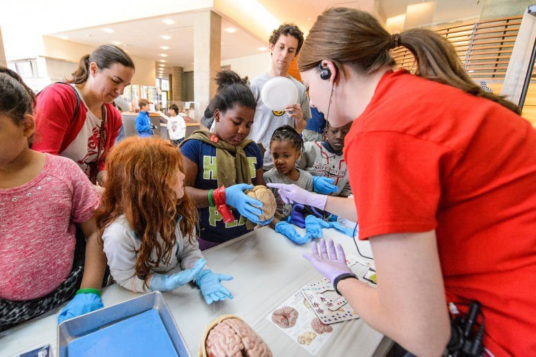 Department of Neuroscience information table