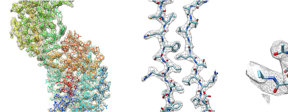 Large Microgen Project Major microscopy project coming to life with new talent, technology ...