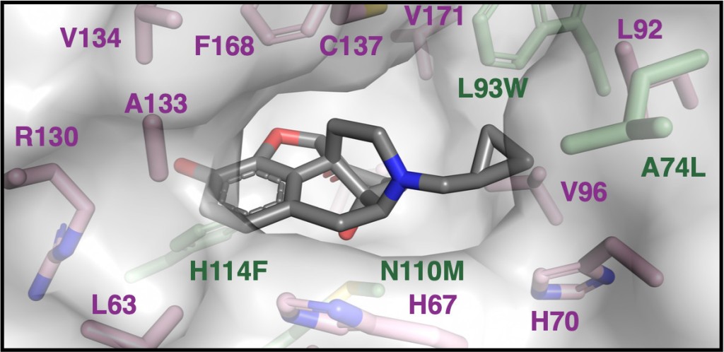 Illustration of a molecule
