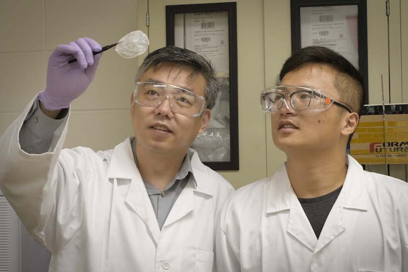 Professor Xudong Wang (left) and co-first author Jun Li