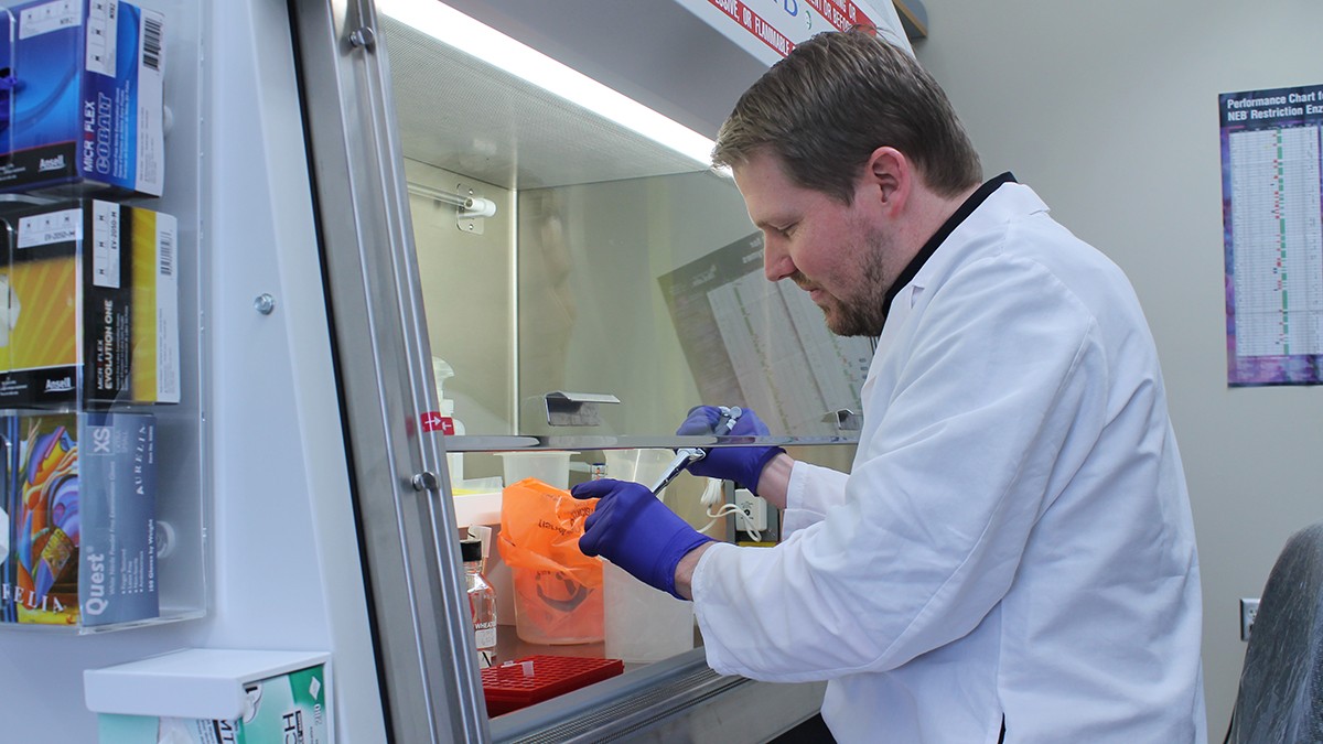 A man in a white lab coat and blue latex gloves pipettes liquid under a ventilation hood.