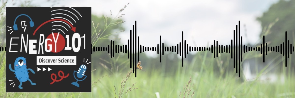 Energy 101 logo with sound bars superimposed on image of trees and grass