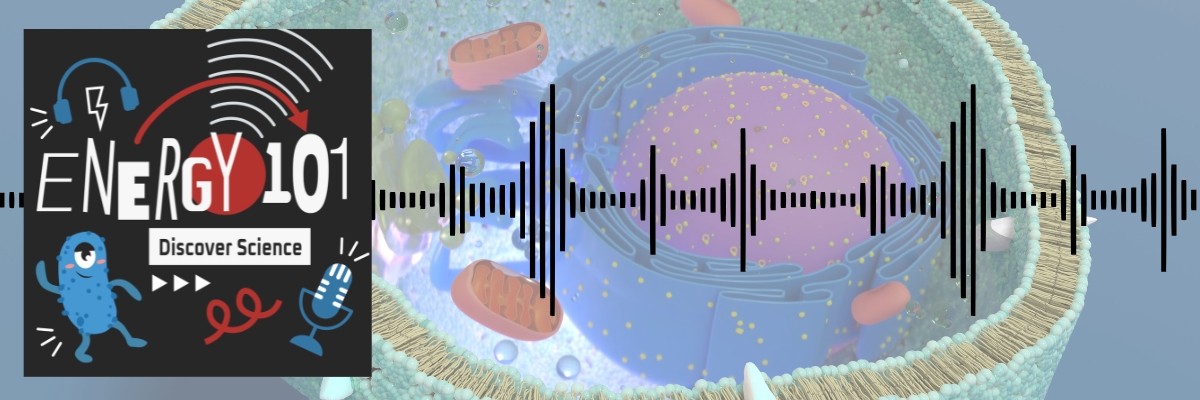 Energy 101 logo with sound bars superimposed on illustration showing cross-section of a cell
