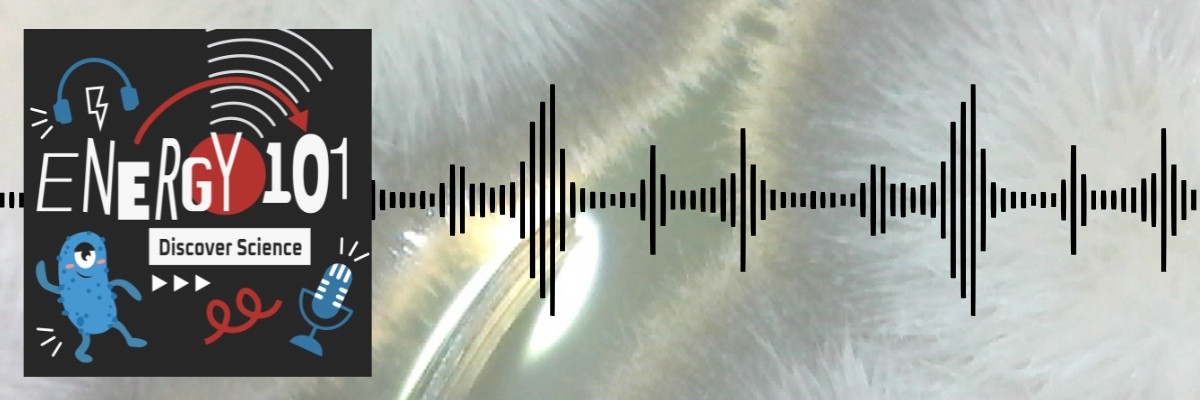 Energy 101 logo with sound bars superimposed on image of a yeast colony