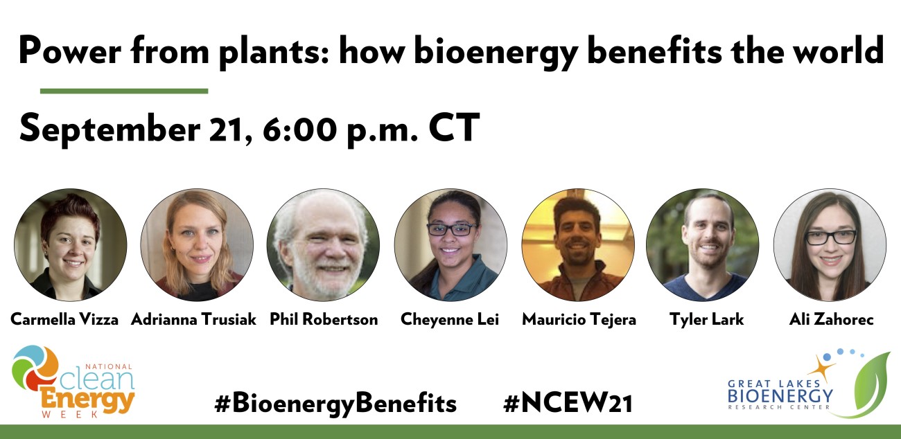 Power from plants: how bioenergy benefits the world | Wisconsin Energy ...