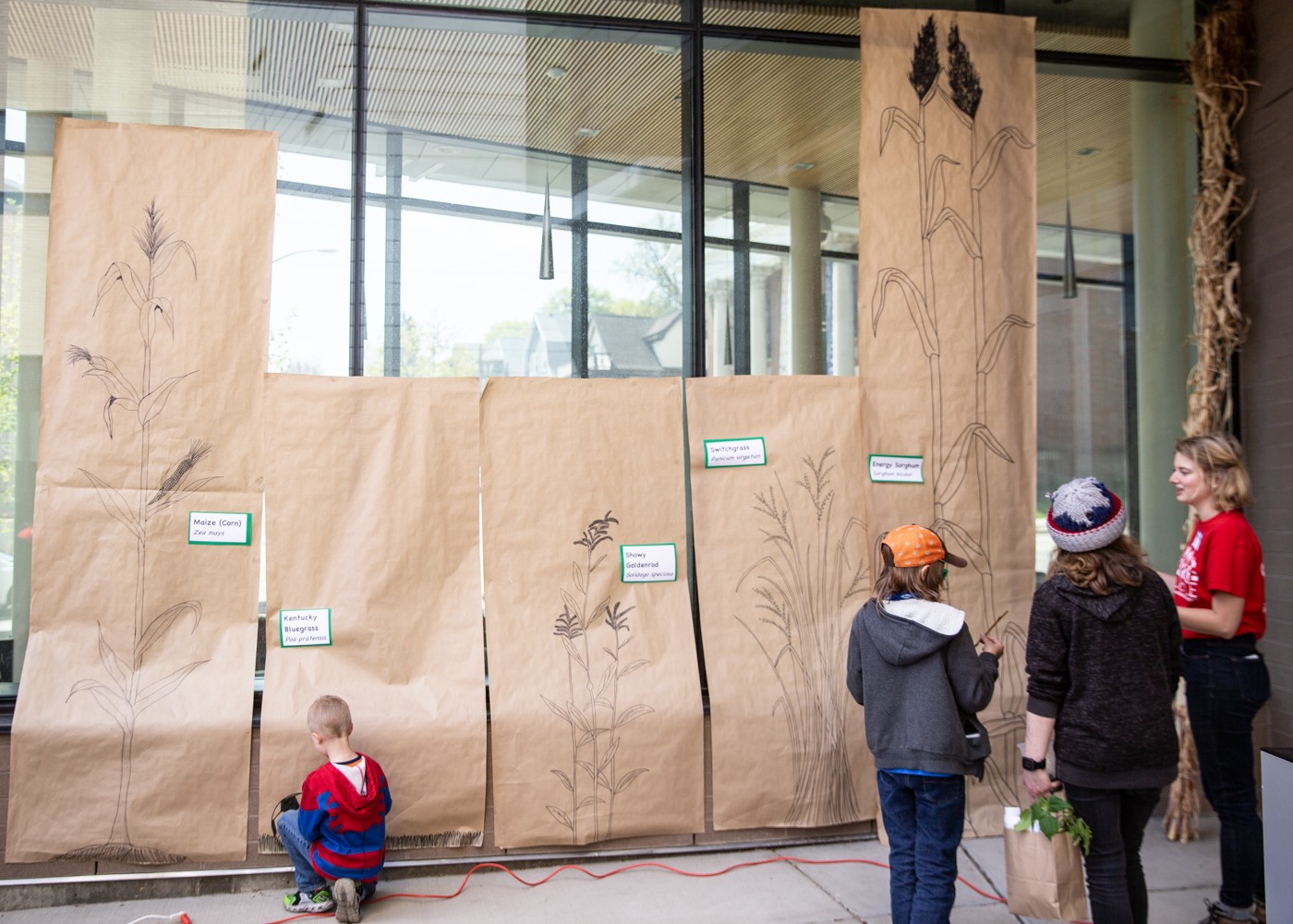 Visitors stand next to tall posters showing drawings of different plants. They match lengths of roots to the plant.