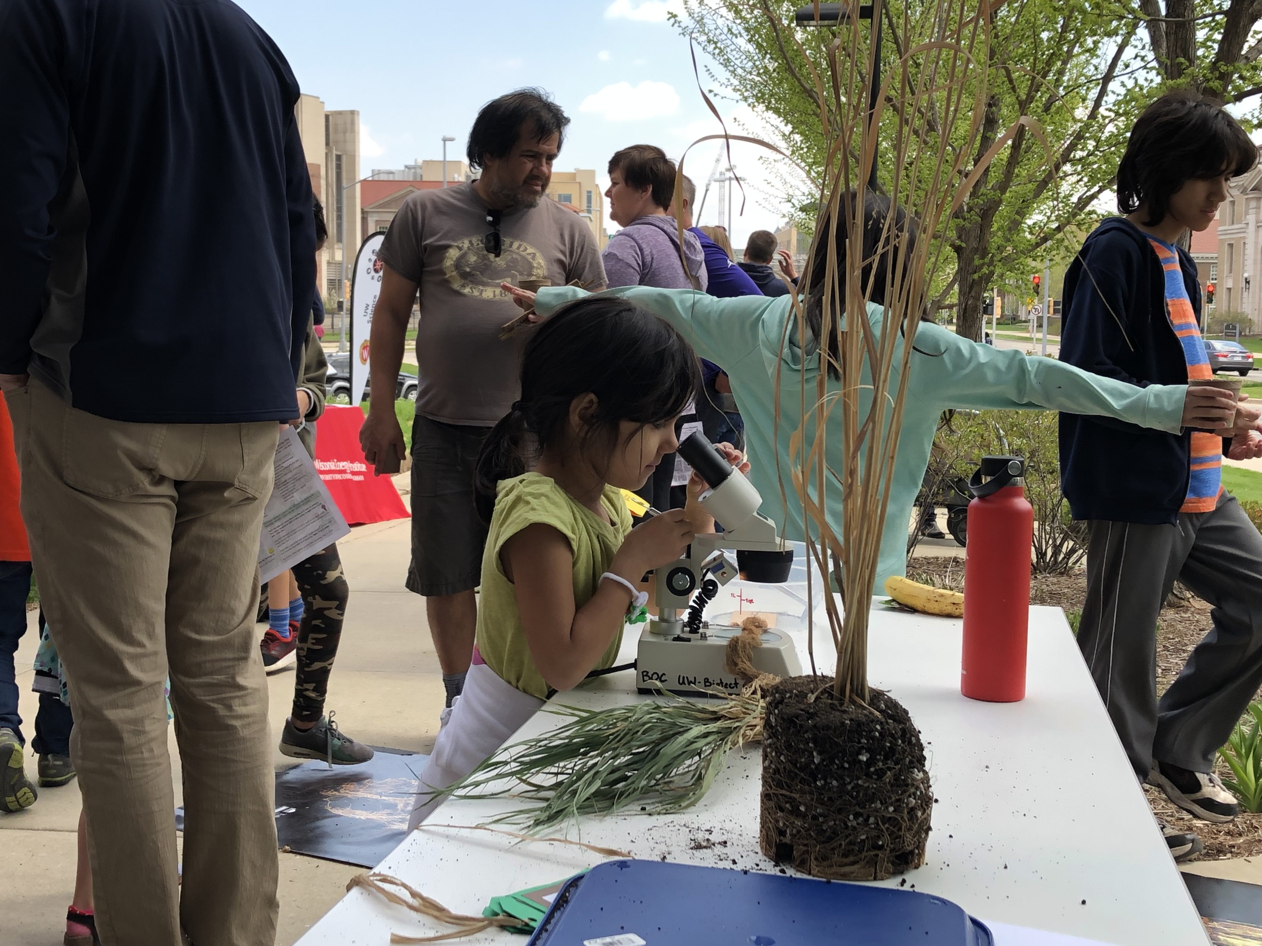 Visitors look through a microscope.