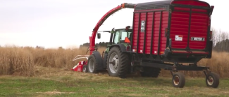 Switchgrass Biomass Harvest